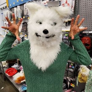 Meet your Posher, Thiha